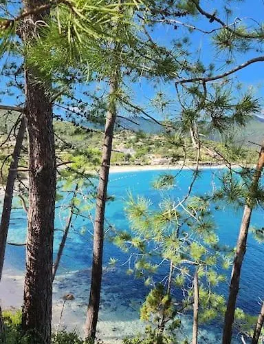 Mini Favone Apartmán